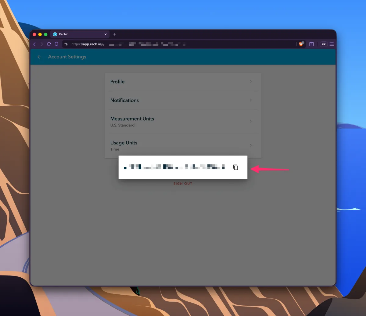 Rachio Account Settings showing the API key with a copy button